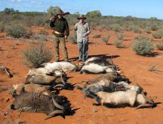 2009 Australian Safari