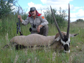 Bull Oryx
